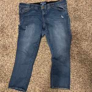 Democracy Dark Blue Ankle Jeans